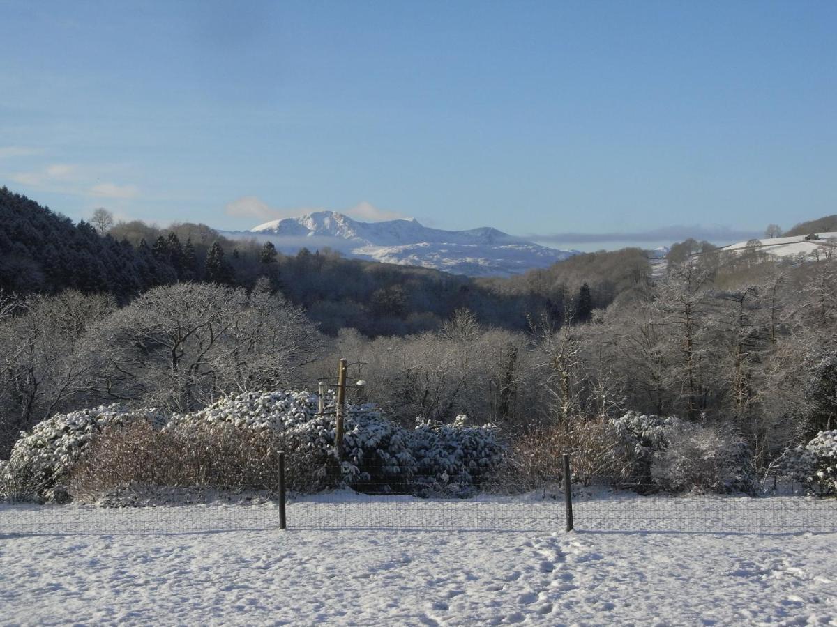 Y Bwythyn At Henfaes Villa Rhydymain Buitenkant foto